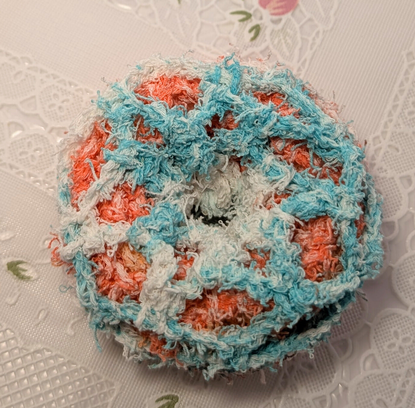 Sanitary Dish Scrub